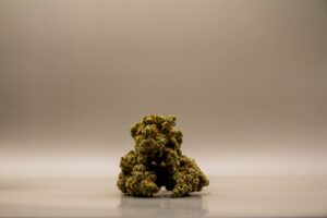 CBD Buds | Amnesia Haze