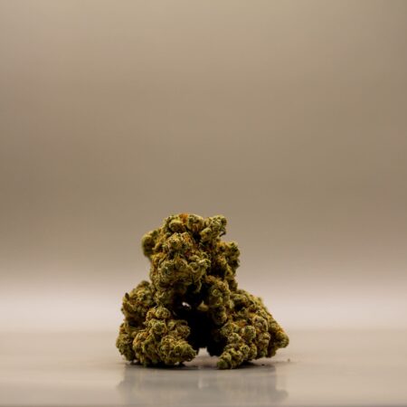 CBD buds - Amnesia Haze