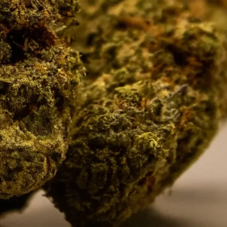 CBD Buds Banana Sour