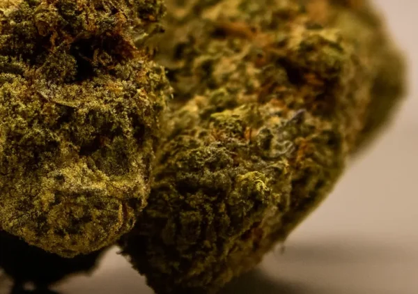 CBD Buds Banana Sour