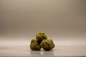 CBD Buds | Dompa OG