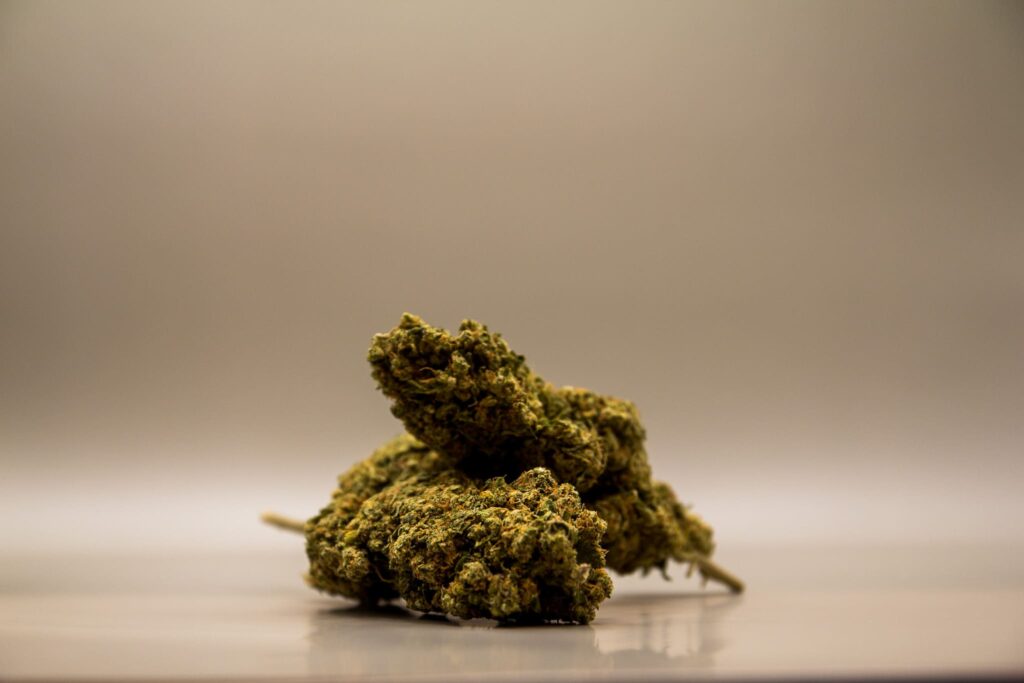 CBD Buds | Watermelon Skittlez – Produktvideo