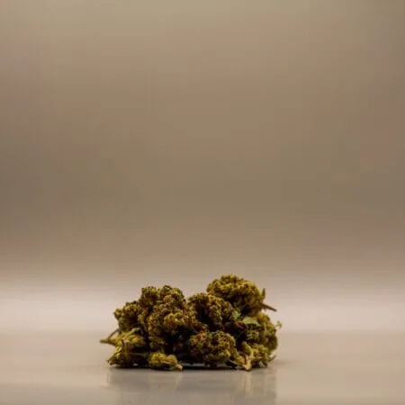 CBD Buds - V1