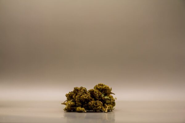 CBD Buds - V1