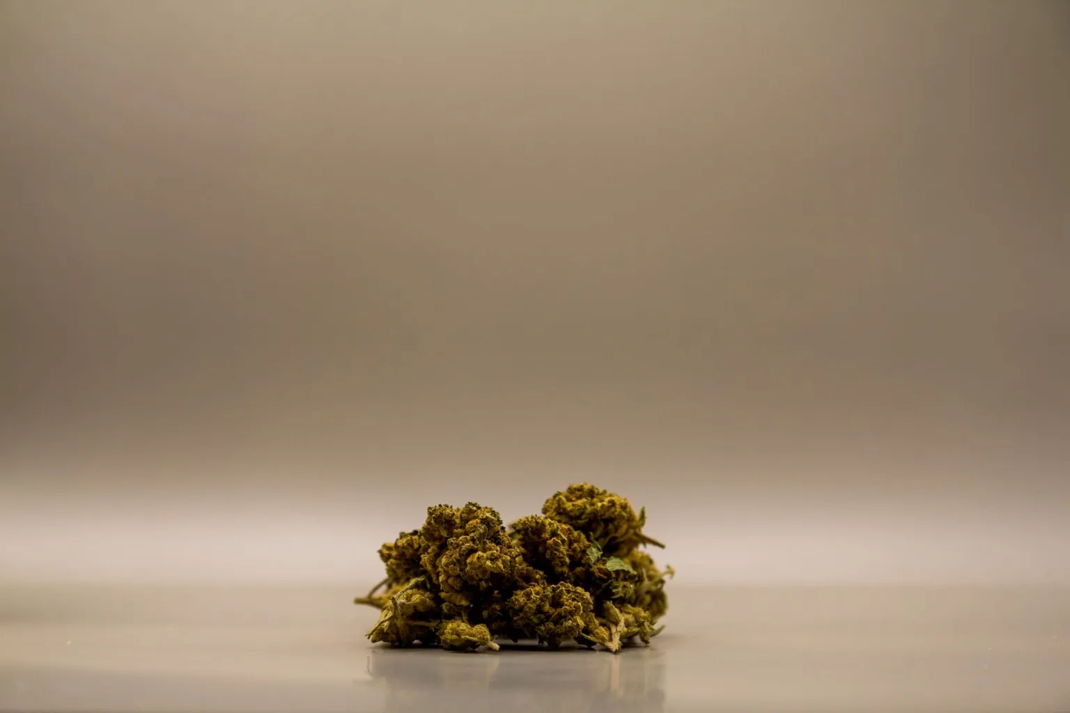 CBD Buds - V1