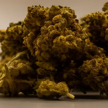 V1 CBD buds - billiga buds i Sverige