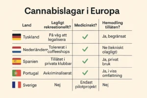 Kan man köpa cannabis lagligt på nätet?