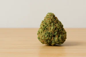 Lemon kush cannabis strain - allt du behöver veta