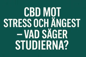 CBD mot stress och ångest: vi kollar vad forskningen säger