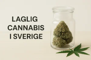 Är cannabis lagligt i Sverige