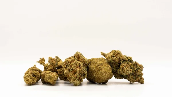 CBD buds provpaket