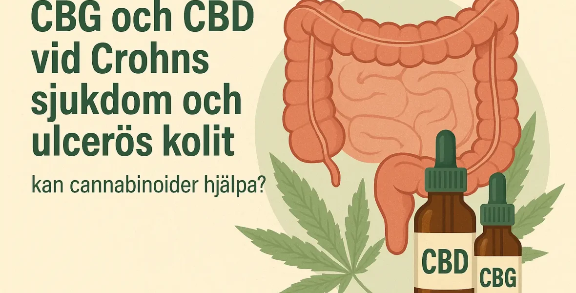 CBD och CBG - Ulcerös kolir och chrons