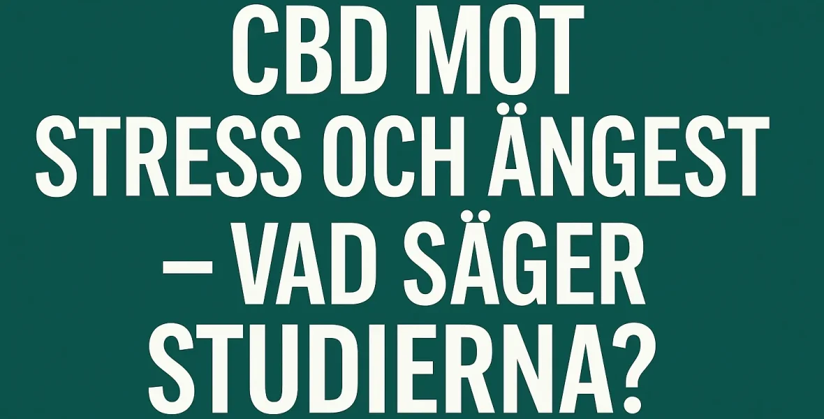 CBD mot stress och ångest: vi kollar vad forskningen säger