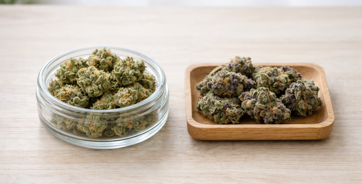 Thca buds eller cbd buds – vad är skillnaden? - bloggbild om THCA buds eller CBD buds